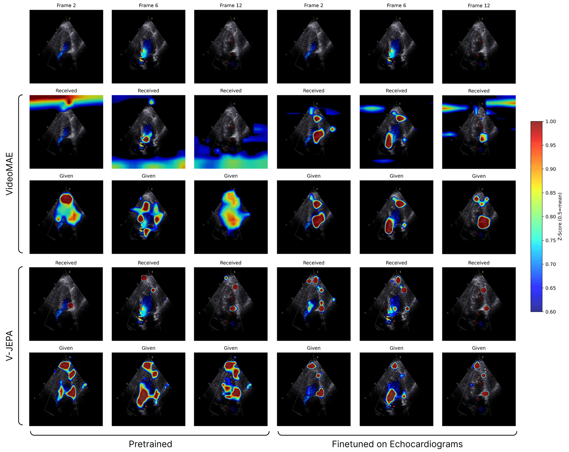 Attention Visualization