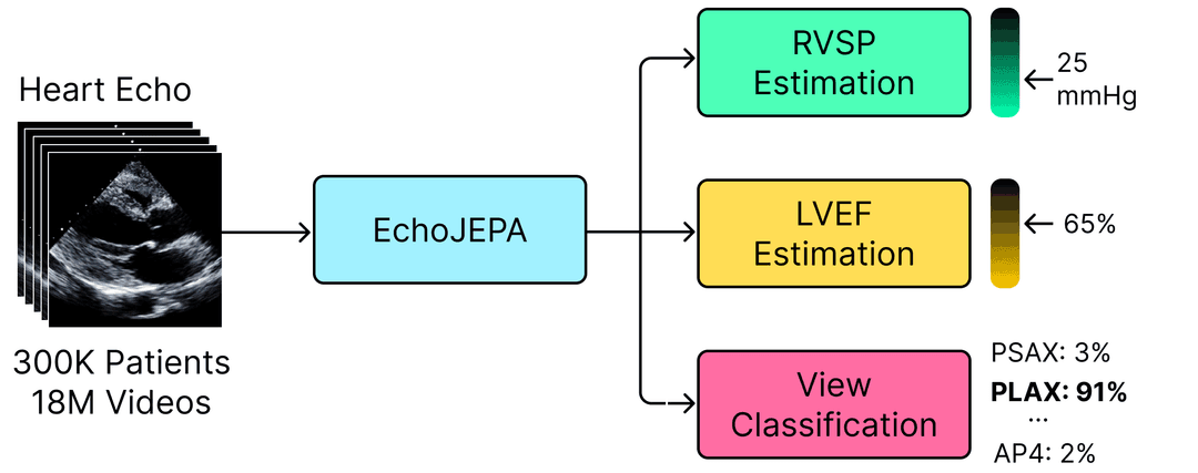 Downstream Evaluation Tasks
