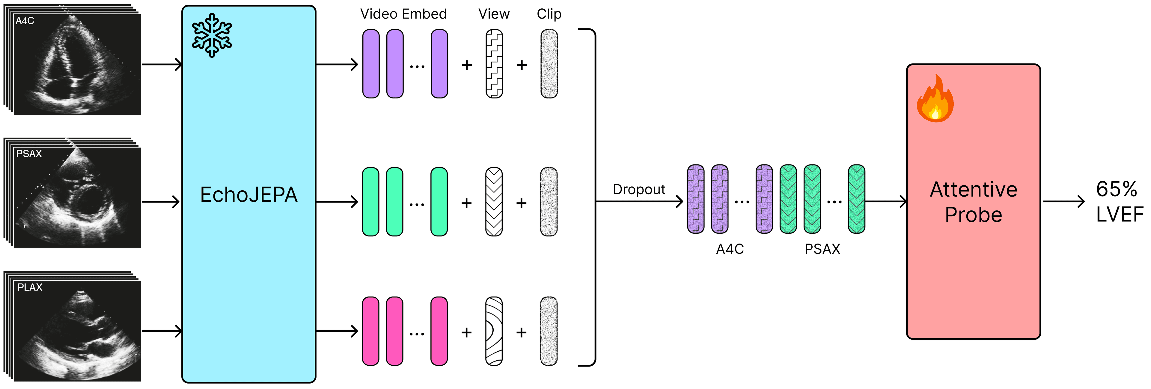 Multi-view Probing Framework